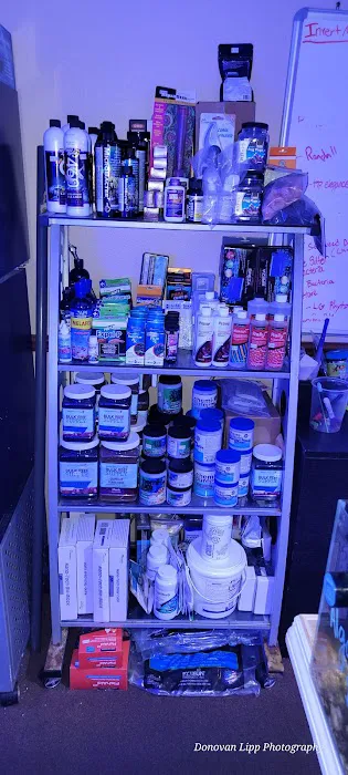 Cardinal Aquariums Picture 10