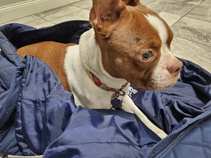 Apple Country Animal Hospital Picture 2