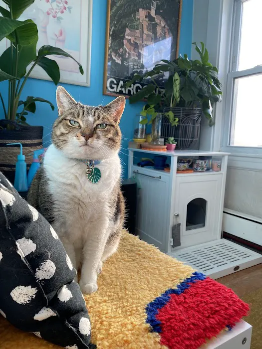 Apple Country Animal Hospital Picture 3