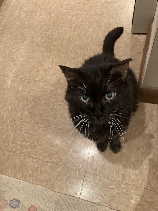 Apple Country Animal Hospital Picture 9