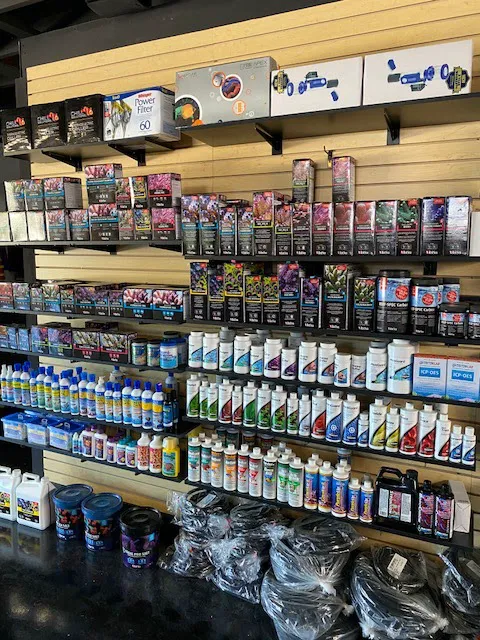 Cultured Corals Picture 1