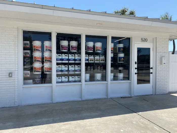 Cultured Corals Picture 2