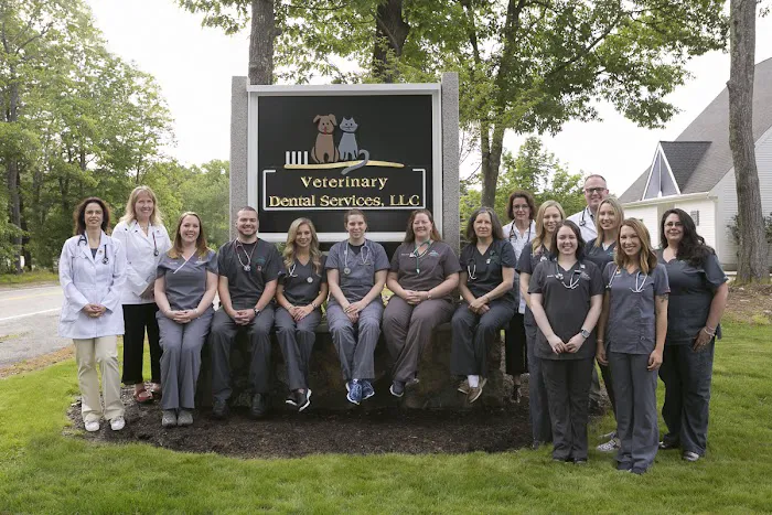 Veterinary Dental Services, LLC Picture 2