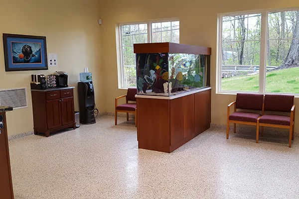 Veterinary Dental Services, LLC Picture 10