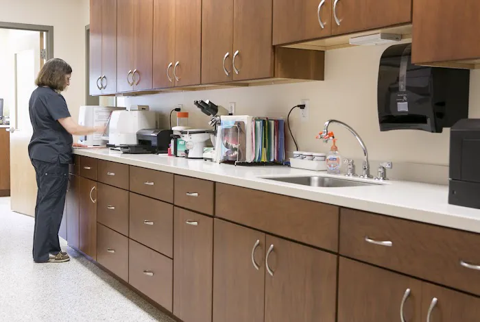 Veterinary Dental Services, LLC Picture 7