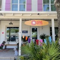 AMI Beach & Dog Supply Co. ico