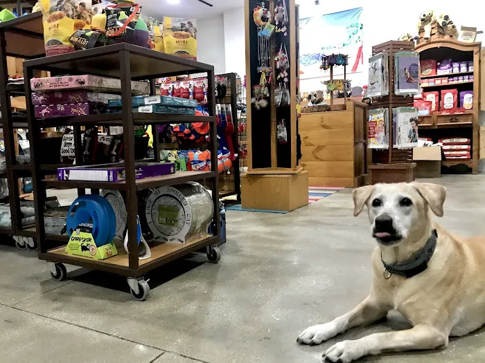 AMI Beach & Dog Supply Co. Picture 2