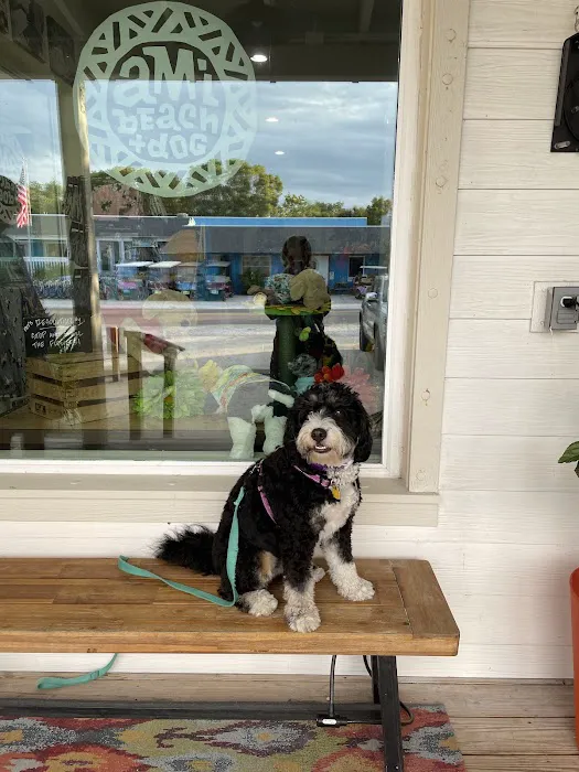 AMI Beach & Dog Supply Co. Picture 5