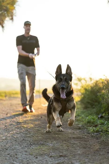 Mana's K9 Nutrition Market Picture 5