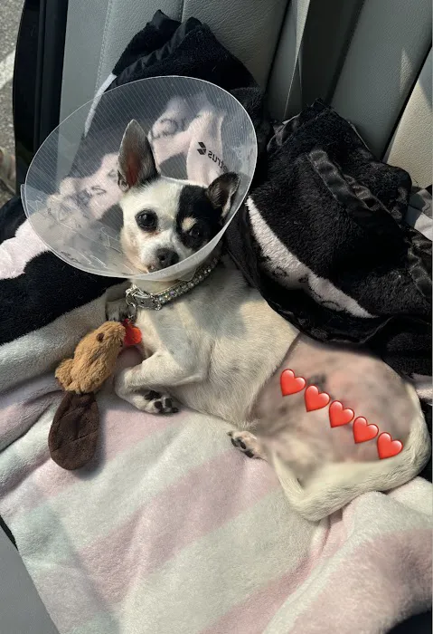 ProFormance Canine, Inc. Picture 5