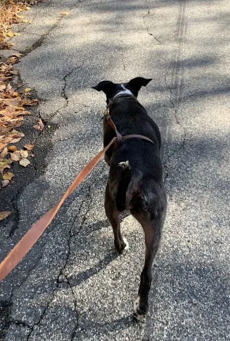 ProFormance Canine, Inc. Picture 4