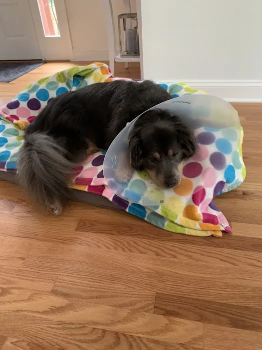 ProFormance Canine, Inc. Picture 7