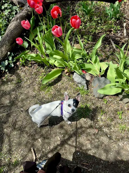 ProFormance Canine, Inc. Picture 8