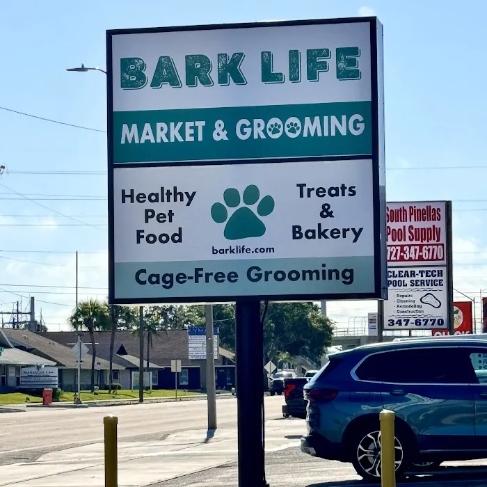 Bark Life, St. Petersburg Picture 2