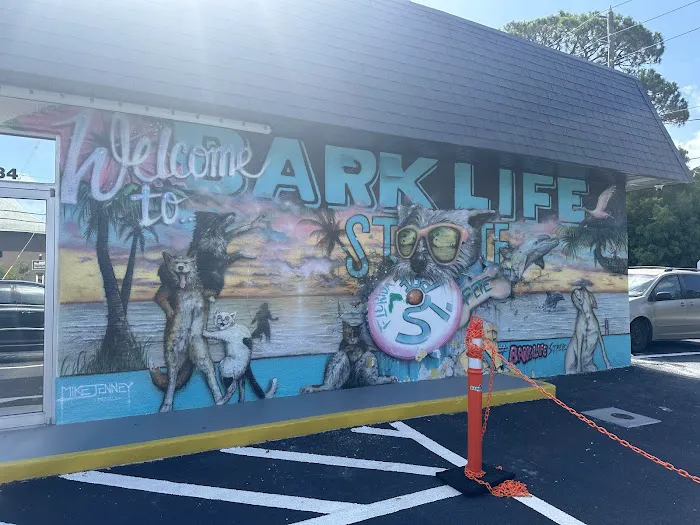 Bark Life, St. Petersburg Picture 4