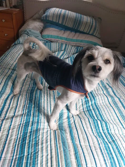 Bark Life, St. Petersburg Picture 5