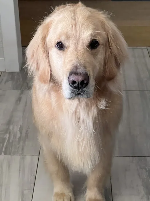 Bark Life, St. Petersburg Picture 6