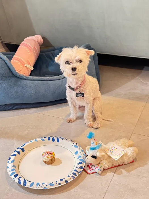 Bark Life, St. Petersburg Picture 8