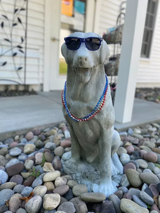 Veterinary Health Care of Groton Picture 3