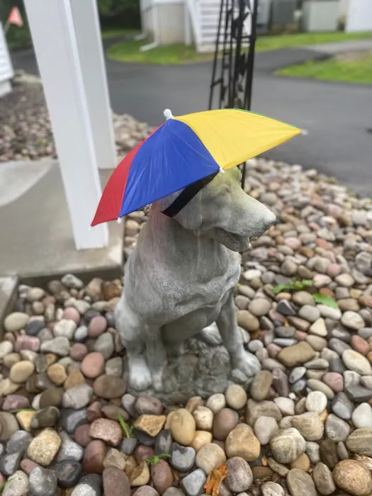 Veterinary Health Care of Groton Picture 5