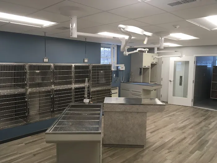 Veterinary Health Care of Groton Picture 8