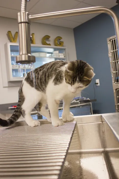 Veterinary Health Care of Groton Picture 10