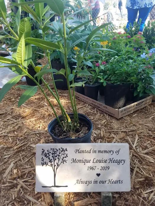 Bonsai Koi Ponds Picture 3