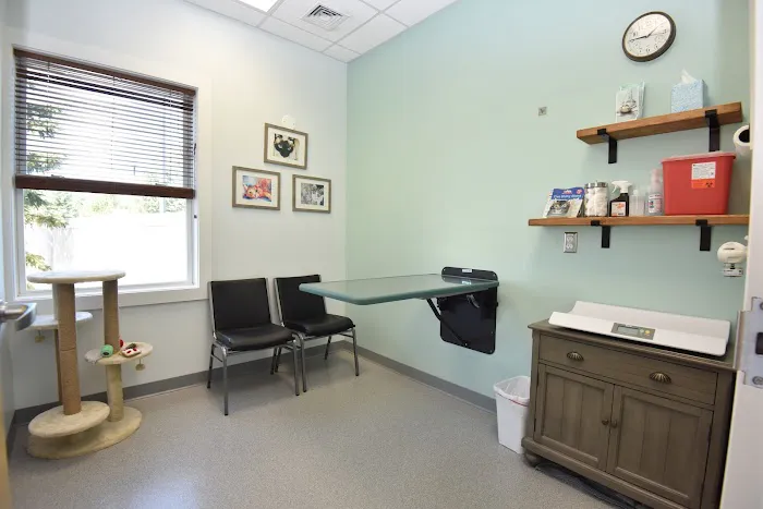 Compassionate Care Veterinary Services Picture 4