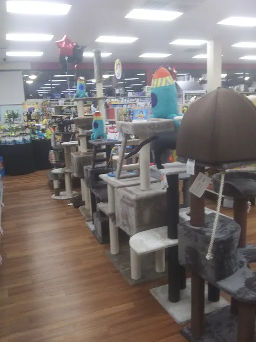 Pet Supermarket Picture 2