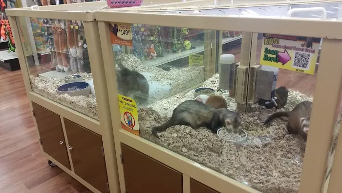 Pet Supermarket Picture 8