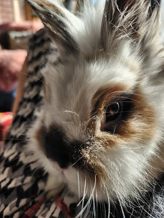 Littleton Animal Hospital Picture 2