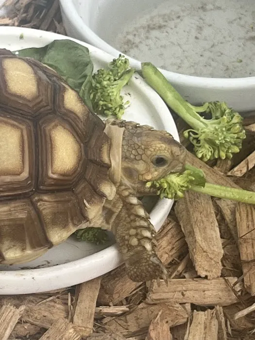 Littleton Animal Hospital Picture 3