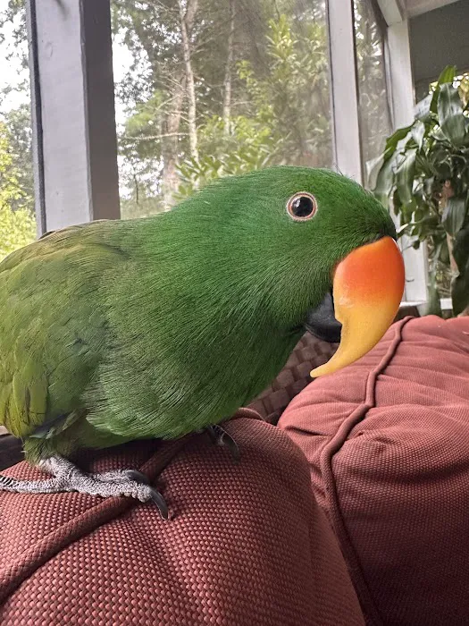 Littleton Animal Hospital Picture 5