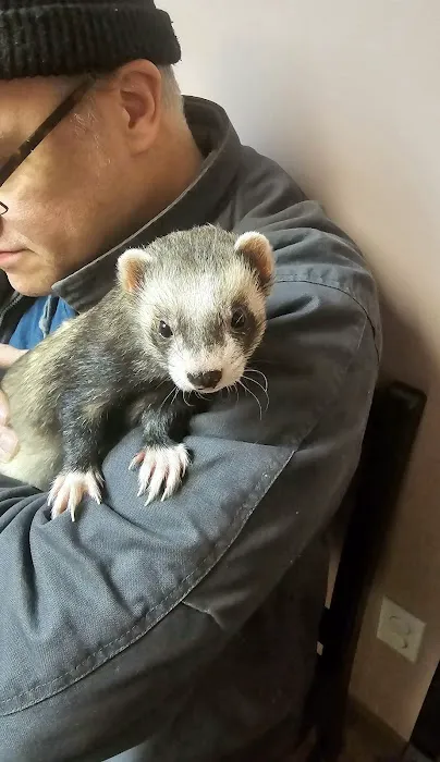 Littleton Animal Hospital Picture 4