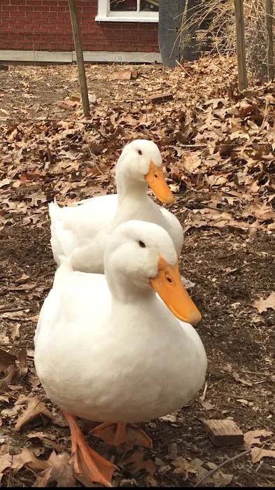 Littleton Animal Hospital Picture 7