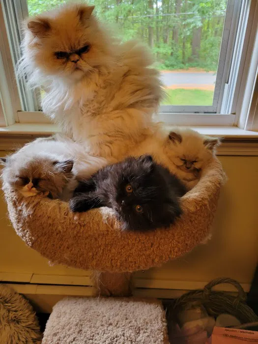 Starwood Veterinary Clinic Picture 5