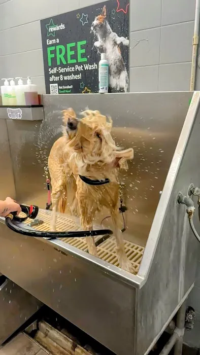 Pet Supplies Plus Pinellas Park Picture 2