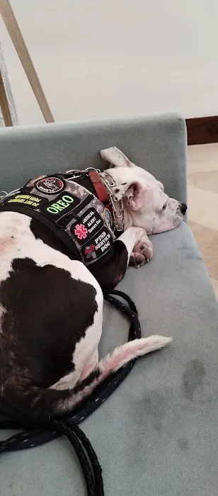 Pet Supplies Plus Pinellas Park Picture 5