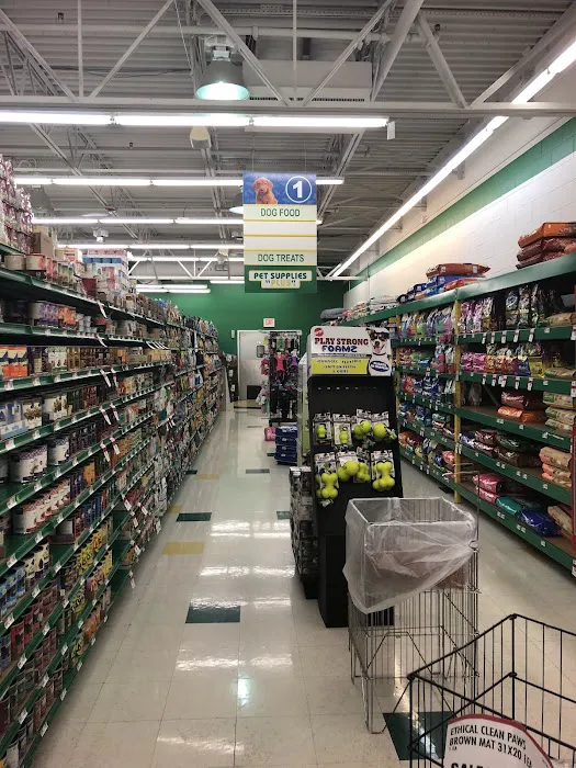 Pet Supplies Plus Pinellas Park Picture 4