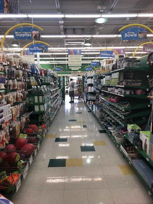 Pet Supplies Plus Pinellas Park Picture 3