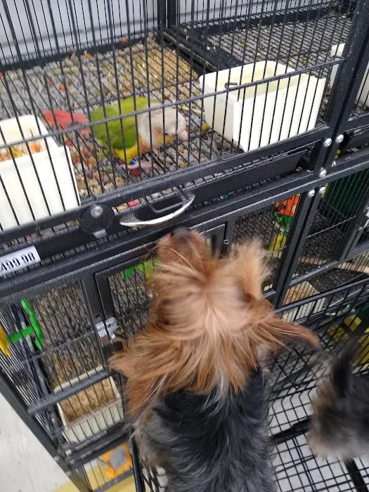 Pet Supplies Plus Pinellas Park Picture 7