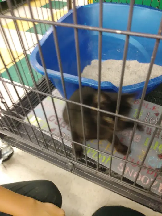 Pet Supplies Plus Pinellas Park Picture 10