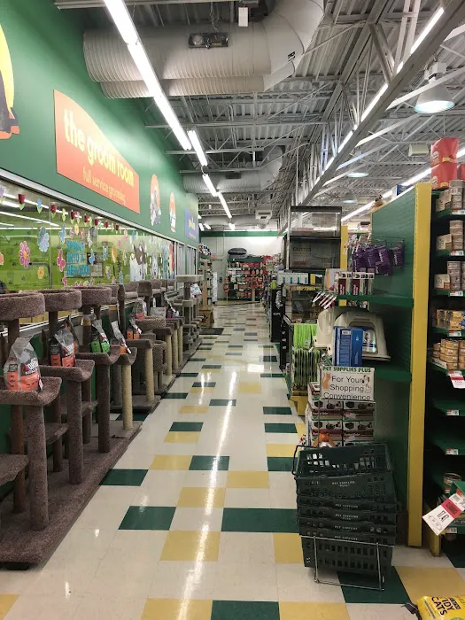 Pet Supplies Plus Pinellas Park Picture 8