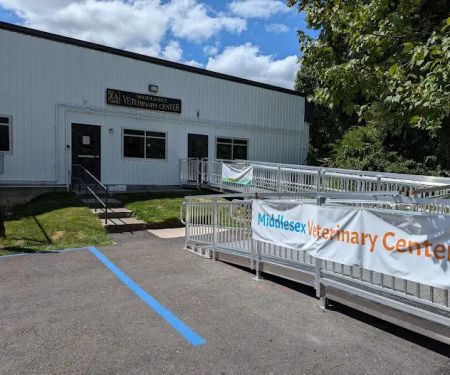 Middlesex Veterinary Center