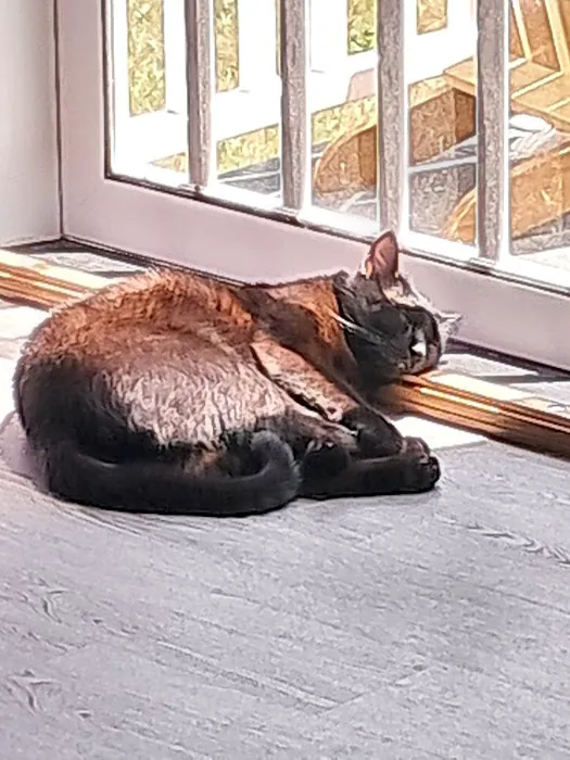 Middlesex Veterinary Center Picture 4