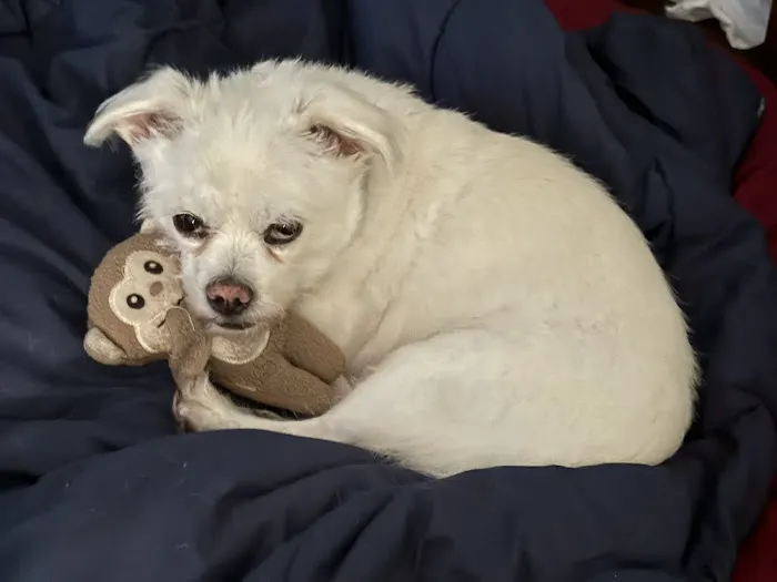 Middlesex Veterinary Center Picture 7