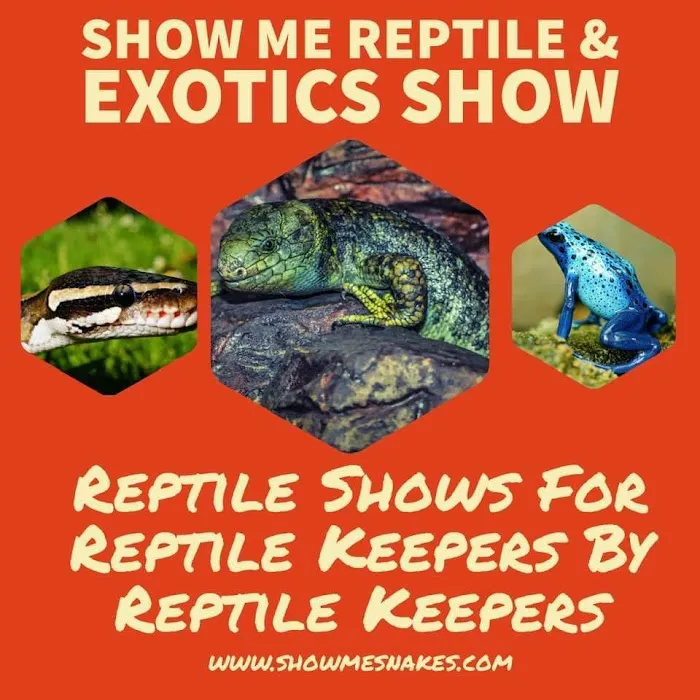 Largo Reptile Expo Show Me Reptile Show Picture 6