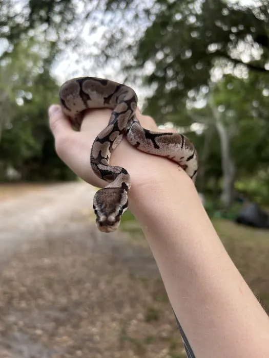 Largo Reptile Expo Show Me Reptile Show Picture 8