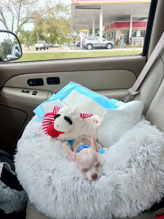 All About Puppies Picture 9