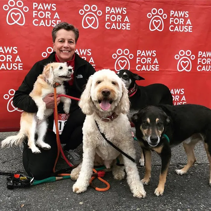 Acton Animal Hospital Picture 6